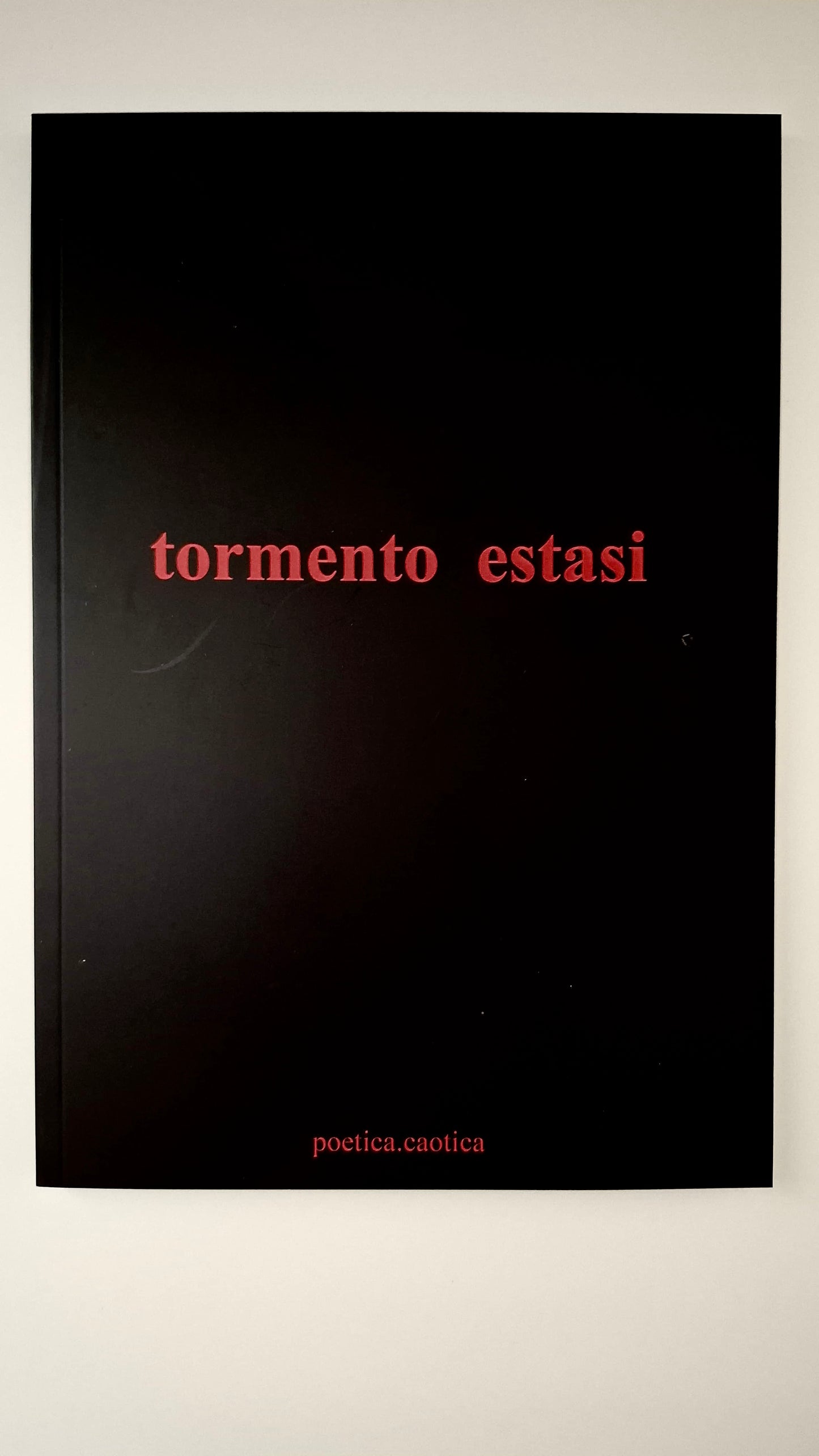 Quaderno tormento/estasi